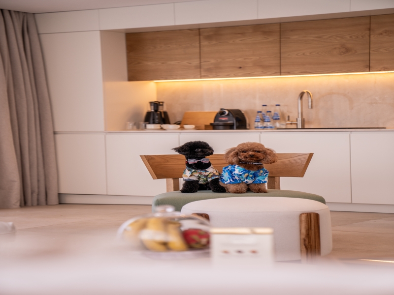 Club Arona Luxury Villas Belek