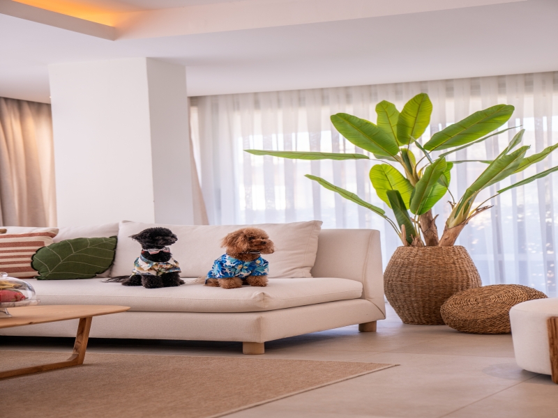 Club Arona Luxury Villas Belek