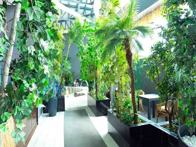 Big Thermal & Spa Resort