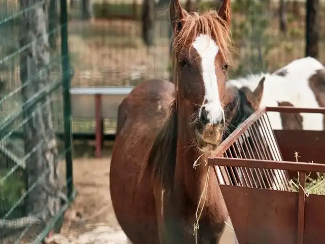 Big Thermal & Spa Resort