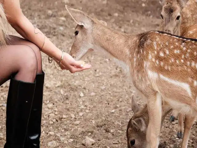 Big Thermal & Spa Resort